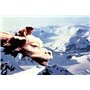 L'Histoire sans Fin 1 + 2 [DVD]