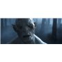 Le Hobbit - La désolation de Smaug - DVD + DIGITAL Ultraviolet [DVD]