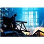 Batman - The Dark Knight, le Chevalier Noir - Blu-ray - DC COMICS [Warner Ultimate (Blu-ray + Copie digitale UltraViolet)]