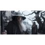 Le Hobbit - La trilogie [DVD]