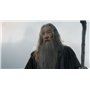 Le Hobbit - La Trilogie [Blu-ray]