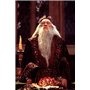 Harry Potter à l'école des sorciers - Année 1 - Le monde des Sorciers de J.K. Rowling - Blu-ray