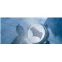 BATMAN V SUPERMAN : L'AUBE DE LA JUSTICE - Version Longue - Edition limitée Steelbook - Blu-Ray 3D + 2D + DVD - DC COMICS