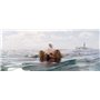 En Eaux Troubles [DVD]