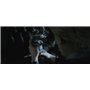 Les Animaux fantastiques : Les Crimes de Grindelwald