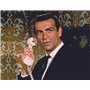 James Bond 007 - L'intégrale 24 Films - Edition Limitée [DVD]