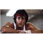 Rocky - L'intégrale de la Saga [DVD]