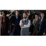 Les Animaux fantastiques : Les Secrets de Dumbledore [4K Ultra HD + Blu-Ray-Boîtier SteelBook limité]