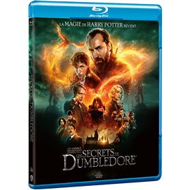 Les Animaux fantastiques : Les Secrets de Dumbledore [Blu-Ray]