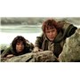 Le Seigneur des Anneaux - La Trilogie : Versions Longues [DVD]