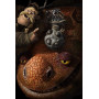 Intégrale Dragons [Blu-Ray + Digital]