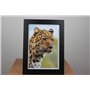 PPD 50 Feuilles 20x25cm Papier Photo SUPER PREMIUM Brillant, Jet d' Encre, 280g, Format 8x10’’ PPD-94-50