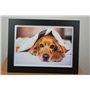 PPD 50 Feuilles 20x25cm Papier Photo SUPER PREMIUM Brillant, Jet d' Encre, 280g, Format 8x10’’ PPD-94-50