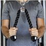 Triceps