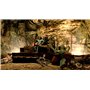 Bethesda Skyrim Anniversary Edition XBOX ONE - Series X/S