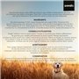 Nettoyant Oreille Chien & Chat - 250 ml, Formulé Avec Huiles Essentielles d'Arbre À Thé, Lavande, Aloe Vera, Glycérine - Soins d