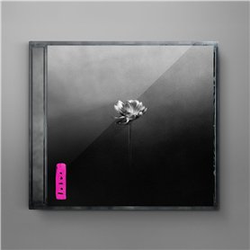 Little Simz-Lotus
