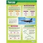 Forces | Affiches scientifiques | Papier laminé brillant mesurant 850mm x 594mm (A1) | Graphiques scientifiques pour la salle de