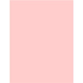 Lot de 60 feuilles de papier coloré A4 80 g/m² Couleurs fluo pastel vives Convient pour imprimantes à jet d'encre et photocopieu