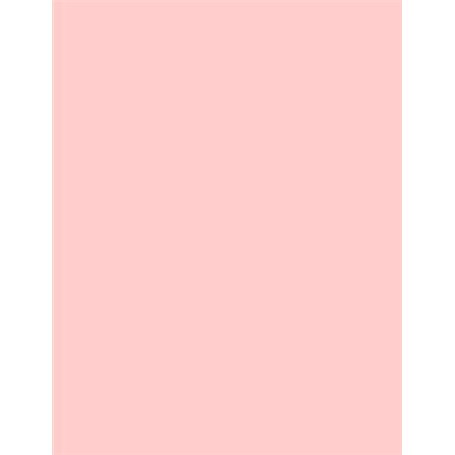 Lot de 60 feuilles de papier coloré A4 80 g/m² Couleurs fluo pastel vives Convient pour imprimantes à jet d'encre et photocopieu