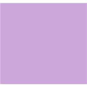 Lot de 100 feuilles de papier coloré A4 80 g/m² Couleurs fluo pastel vives pour imprimantes à jet d'encre et photocopieuses (lil
