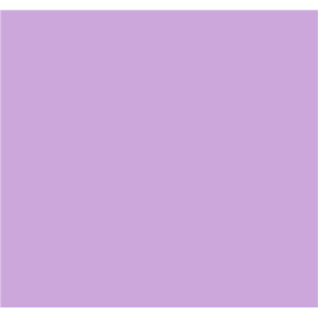Lot de 100 feuilles de papier coloré A4 80 g/m² Couleurs fluo pastel vives pour imprimantes à jet d'encre et photocopieuses (lil