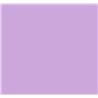 Lot de 100 feuilles de papier coloré A4 80 g/m² Couleurs fluo pastel vives pour imprimantes à jet d'encre et photocopieuses (lil
