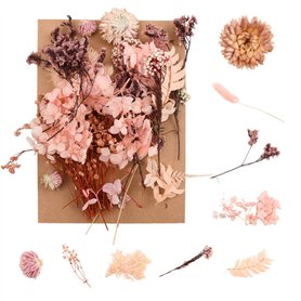 Cozlly Fleurs Séchées Naturelles