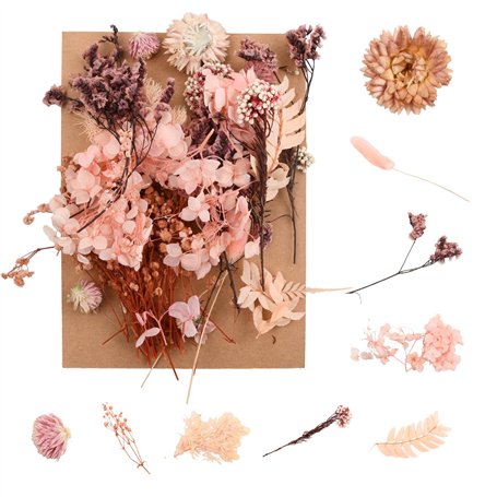 Cozlly Fleurs Séchées Naturelles