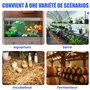 GlowUp Prise Thermostat avec Sonde, 220V Thermostat Terrarium Reptile Contrôleur de Température de Chauffage/Refroidissement ave