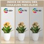 Non r
