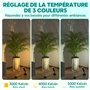 Lamptobe 5 W Applique Murale Interieur avec Interrupteur et Prise,Lot de 2 spots LED d'intérieur pour plantes et tableaux 3 000 