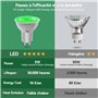 lumière verte pour décoration et éclairage d'accentuat