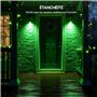 BrightWish Lot de 4 ampoules LED GU10 vertes 5 W, intensité non variable, lumière verte pour décoration et éclairage d'accentuat
