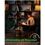 DoRight 200W Ampoule Halogène Tubulaire E27 Blanc Chaud 2800K Dimmable 2820lm Ampoule Tube Halogene pour Studio, Chambre, Bureau