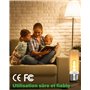DoRight 200W Ampoule Halogène Tubulaire E27 Blanc Chaud 2800K Dimmable 2820lm Ampoule Tube Halogene pour Studio, Chambre, Bureau