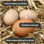 Oeufs Ersatz – Faux œufs de Poule et de volaille réalistes – Imitation d'œufs factices lestés pour nichoirs – Encourage la Ponte