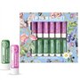 Beauty4Britain Ensemble de 12 Baumes à Lèvres de Luxe Bouquet 12 Parfums Différents Unisexe Protège & Répare Hydrate Enrichi en 