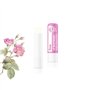 Beauty4Britain Ensemble de 12 Baumes à Lèvres de Luxe Bouquet 12 Parfums Différents Unisexe Protège & Répare Hydrate Enrichi en 