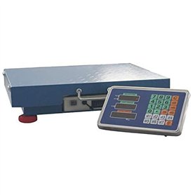 KATSU Balance Industrielle à Plate-Forme 300KG Balance Postale Numérique Rechargeable avec Affichage LED et 42 x 52cm Plate-form KATSU Balance Industrielle à Plate-Forme 300KG Balance Postale Numérique Rechargeable avec Affichage LED et 42 x 52cm Plate-form