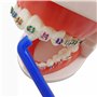 6x Brosse à dents interspace fine ~ Brosses bleues pour appareils orthodontiques et bridges