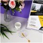 Belle Vous Support Bougie - Lot de 12 Coupelle Verre Transparent Porte Bougie Decorative - Bougeoir en Verre Transparent Mariage