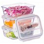 Igluu Meal Prep - Boîte Alimentaire Hermétique en Verre avec Couverts - Contrôle des Portions Sans BPA - Compatible Micro-ondes,