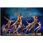 The Prince of Egypt: The Musical [DVD]