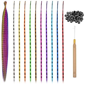 Extensions de Cheveux Colorés