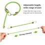 8 Pzs 25cm Tendeurs Elastiques avec Crochets Petits Cordons Elastiques avec Crochets Mini Tendeurs Sandow en Caoutchouc Universe