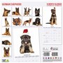 Calendrier moderne 2025 Berger allemand