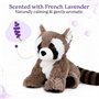 Warmies Raton laveur en peluche - Passe au micro-ondes - Grand format - Doudou chauffant pour enfants et adultes - Parfum lavand