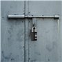 Vesaneae Lot de 4 Cadenas 4 Chiffres, Cadenas à Code Serrure Combinée, Cadenas Casier Imperméabiliser Cadenas à Combinaison, Cad