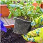 Wisebom 4Pcs Protections de Racines en Maille pour Plantes Sacs en Maille Métallique Paniers de Protection des Racines pour Légu